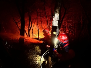 “작년과 달랐다”, 대형산불 발생 ‘제로’…범정부 예방·국민 협조 ‘결실’