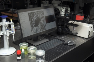 “물벼룩 심장박동 활용했더니”…미세 독성 분석 정밀도 향상