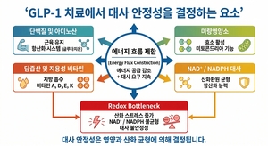 서울대병원 “비만약 ‘GLP-1’ 장기 투여 시 전신 대사 불안정 유발”