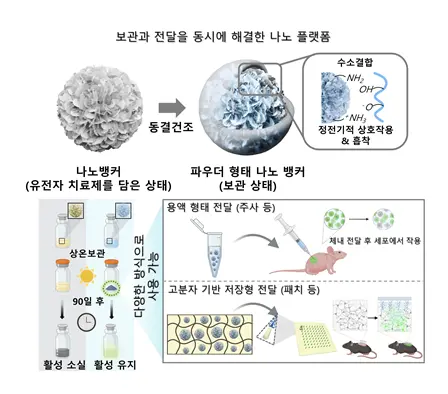 나노다공성 기반 바이오의약품 전달 플랫폼 개념도. KIST 제공.