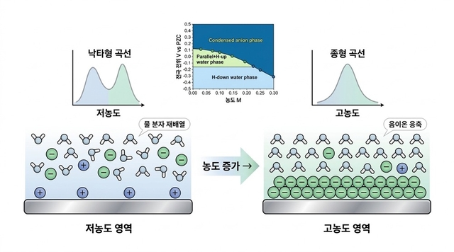전해질 농도가 높아지면서 전기 이중층 구조가 낙타형에서 종형으로 바뀐다. KAIST 제공.