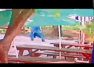 어린이날 앞두고…공원서 2살 아이 ‘묻지마 폭행’, 60대 입건