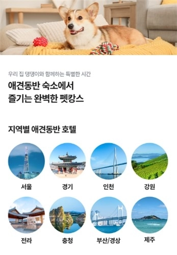 반려동물 동반 여행 상품 전용 페이지. [놀유니버스 제공]
