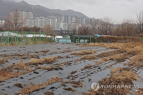 정부가 전국 농지 소유자를 대상으로 처음으로 전수조사를 벌이는 방안을 추진 중인 가운데 2일 수도권 내 한 농지 너머로 아파트 단지 등 재개발 구역이 들어서 있다. 연합뉴스