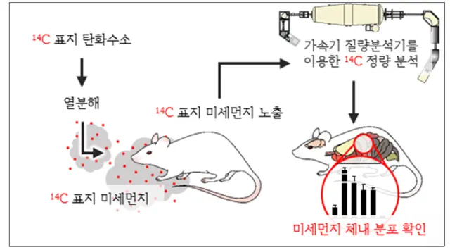 미세먼지를 이용한 동물 노출 실험 수행 및 각 장기별 분포 확인 개념도. KIST 제공.
