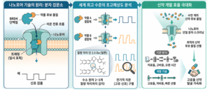 “최적의 신약후보물질 찾는다”…미세 차이까지 판별하는 ‘초미세 나노센서’