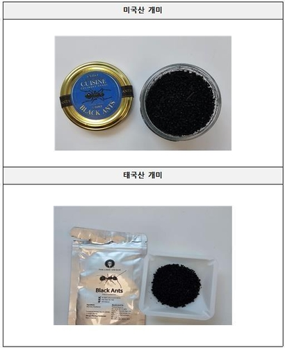 건조 상태 개미 [[식품의약품안전처 제공]