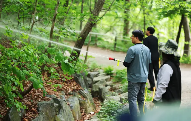 서울시와 노원구, 삼육대학교 관계자들이 지난 5월 7일 서울 노원구 불암산 일대에서 중국 붉은등우단털파리(세칭 러브버그) 방제를 위한 유충구제제를 살포한 뒤 물을 뿌리고 있다. [연합뉴스]