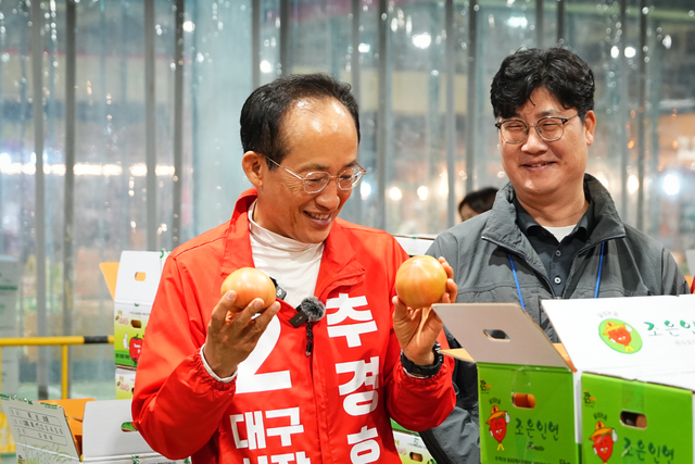 21일 오전 추경호 국민의힘 대구시장 후보가 첫 일정으로 대구 북구 대구농수산물도매시장을 찾아 토마토를 살펴보고 있다. [추경호 캠프]