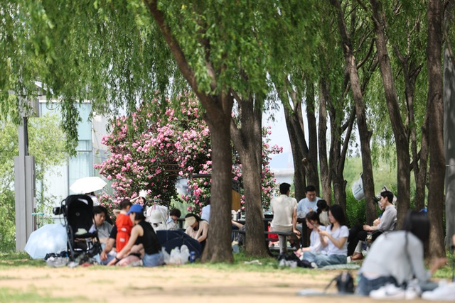 서울 한낮 기온이 30도까지 오르며 더운 날씨를 보인 지난 25일 서울 서초구 반포한강공원 그늘 밑에서 시민들이 나들이를 즐기고 있다. [연합뉴스]