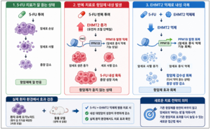 대장암 항암치료제 내성 원인 찾아…떨어진 약효도 되살리다