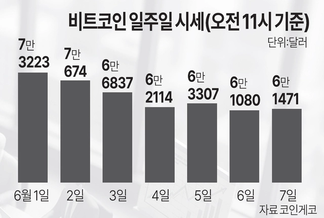 자료=코인게코
