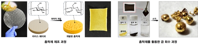 라이스 페이퍼를 활용해 개발한 고성능 친환경 흡착제 제조 과정과 금 회수 과정. 고려대 제공.