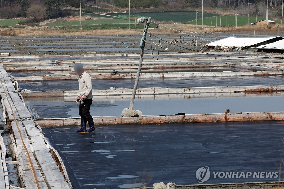 되살아난 ‘염전노예’ 논란…광주전남 노동·인권단체 “일부 일탈 아니다” 규탄