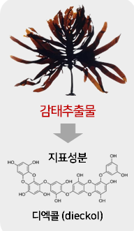 감태 추출물이 스트레스로 인한 긴장완화에 도움을 주는 기능성 원료로 인정받았다. 식품연 제공.
