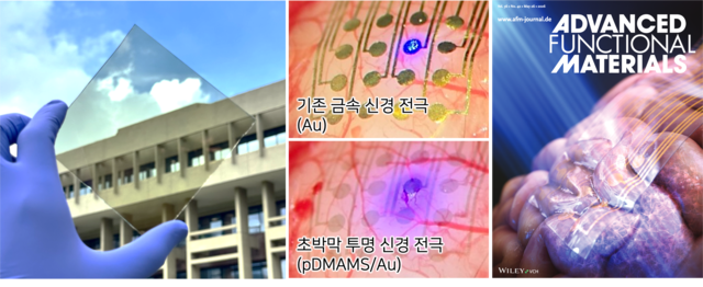 KIST가 개발한 초박막 신경 투명전극. KIST 제공.
