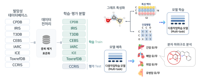다중작업학습 AI 모델 기반 장기별 발암성 예측 파이프라인. 전남대 제공
