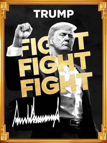 트럼프 밈코인 '#TRUMP' 이미지. 트럼프 밈코인 홈페이지 캡처. 연합뉴스
