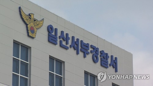 구명조끼 입고 물놀이 7세 여아 ‘참변’…고양 워터파크 파도풀서