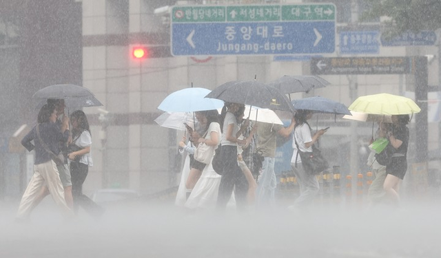 제헌절 대구에 쏟아지는 비(사진=연합뉴스)