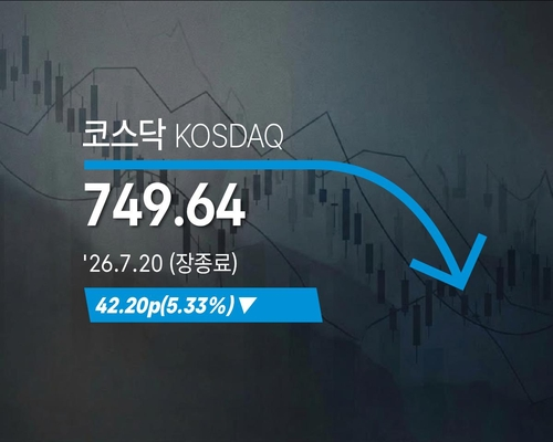 [연합뉴스]
