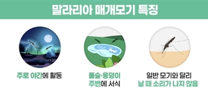 모기 물린 뒤 열 난다면… ‘말라리아’ 의심 [김수연의 헬스업]