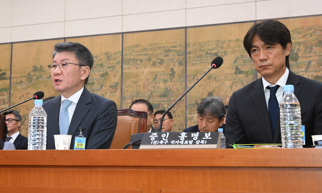 정몽규 전 대한축구협회장(왼쪽)이 30일 국회 문화체육관광위원회에서 열린 대한축구협회 현안 관련 청문회에 증인으로 출석해 의원 질의에 답하고 있다. 오른쪽은 홍명보 전 축구대표팀 감독. [국회사진기자단]