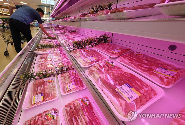 지난달 21일 서울의 한 대형마트에서 한 시민이 삼겹살을 고르고 있다. [연합뉴스]
