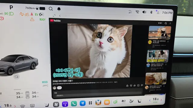 더 뉴 그랜저 하이브리드 중앙 디스플레이에서 유튜브 콘텐츠를 보고 있다. 장우진 기자