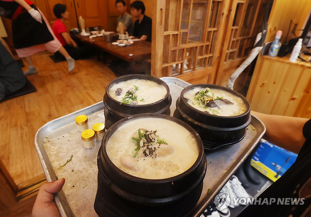 삼계탕. 연합뉴스