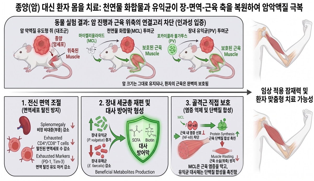 암 환자 80% 발생 ‘치명적 합병증’, 장내 미생물로 개선