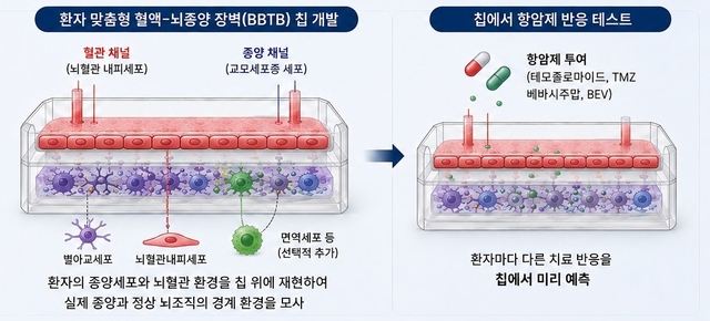 환자 맞춤형 혈액-뇌종양 장벽 칩 관련 기술 개념도를  AI로 생성한 이미지. KAIST 제공.