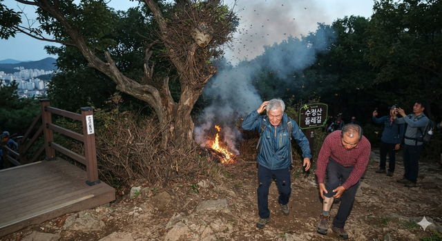 기사 이해를 돕기 위해 챗지피티를 이용해  만든 이미지