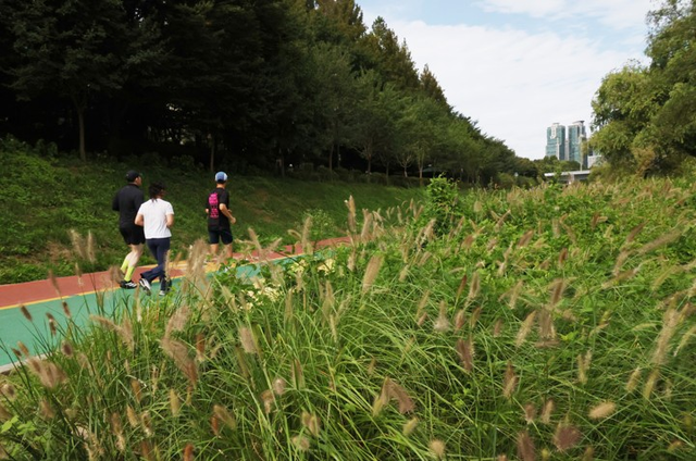 선선한 날씨를 보인 9일 서울 양재천에서 시민들이 산책을 하고 있다. [연합뉴스]