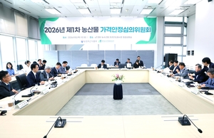 마늘·양파값 하락 땐 정부가 메꾼다…평년 도매가 80% 보장