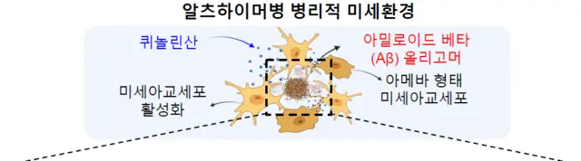 미세아교세포의 노폐물 제거능력을 높여 치매 원인 단백질을 청소하는 새로운 경로에 대한 개념도. KIST 제공.
