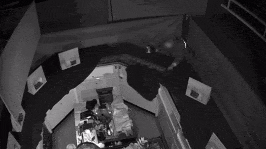 대형마트 CCTV 사각지대 침입, 금은방 진열대 깨부수고 5억 터는 데 ‘순식간’