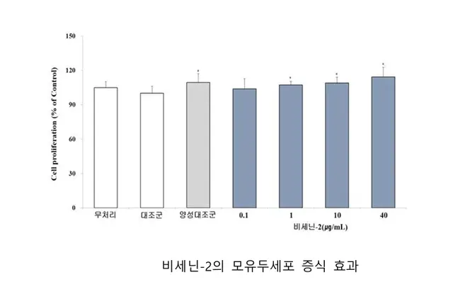 비세닌-2의 모유두세포 증식효과. 국립낙동강자원관 제공