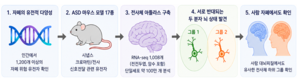 자폐 원인 유전자, 분자 수준서 밝힐 실마리 확보
