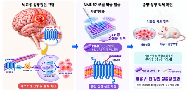 교모세포종 성장을 억제하는 핵심 단백질의 작용 기전 개념도를 AI로 생성한 이미지. 생명연 제공.
