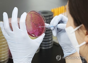 “축제 즐기러 갔다가 날벼락”…김제지평선축제서 김밥 먹은 313명 식중독 의심 증세