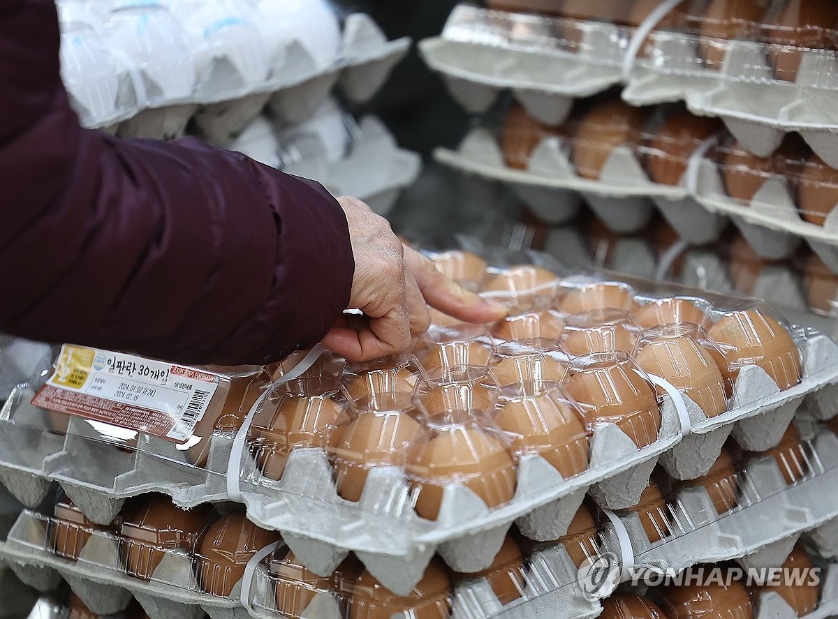 브라질산 계란 한 판 수입에 4만4000원…16억 쓴 이유는