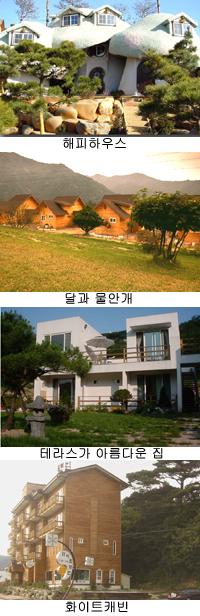 [레포츠] 
