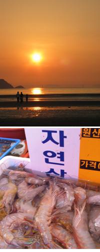 [여행] `낙조일번지` 안면도