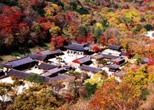 [여행] 불타는 산 `삼색유혹`
