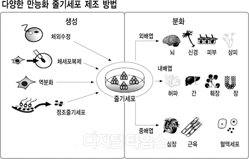 국내 줄기세포 연구 불 지피나