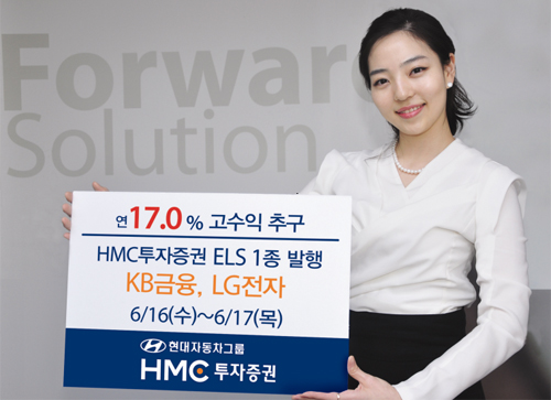 HMC투자, KB금융ㆍLG전자 자산 ELS