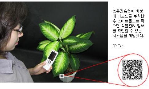 휴대폰으로 찍으면 식물정보 `쫙`