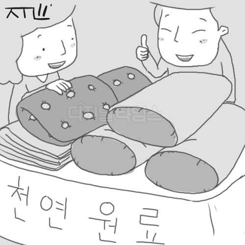 [해외에서 찾는 신 창업아이템] 건강생활용품 전문점 `들꽃잠`