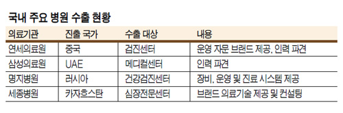 의료기관, 해외 진출 본격화